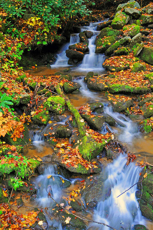 Waterfall Art Print featuring the photograph Leaf Falls by Alan Lenk
