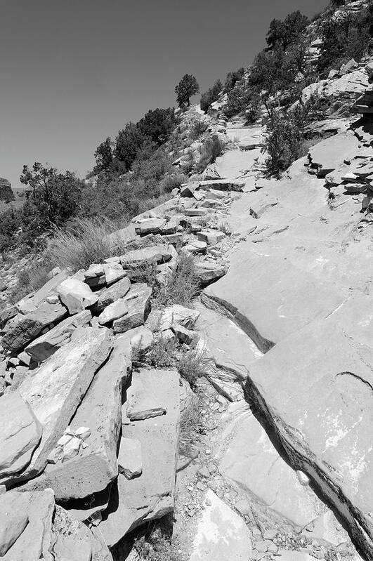 Trail Art Print featuring the photograph Looking Up the Hermit's Rest Trail BW by Julie Niemela