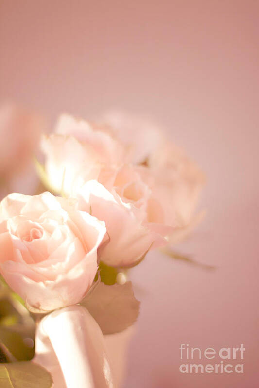 Pale Art Print featuring the photograph Pale Cream Roses by Ethiriel Photography