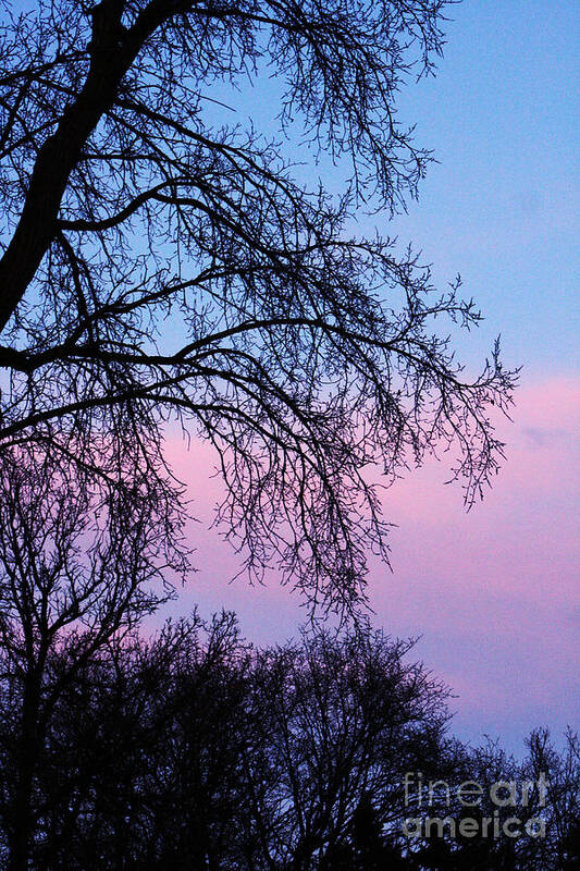 Nature Art Print featuring the photograph Pink Blue Sky by Mary Mikawoz