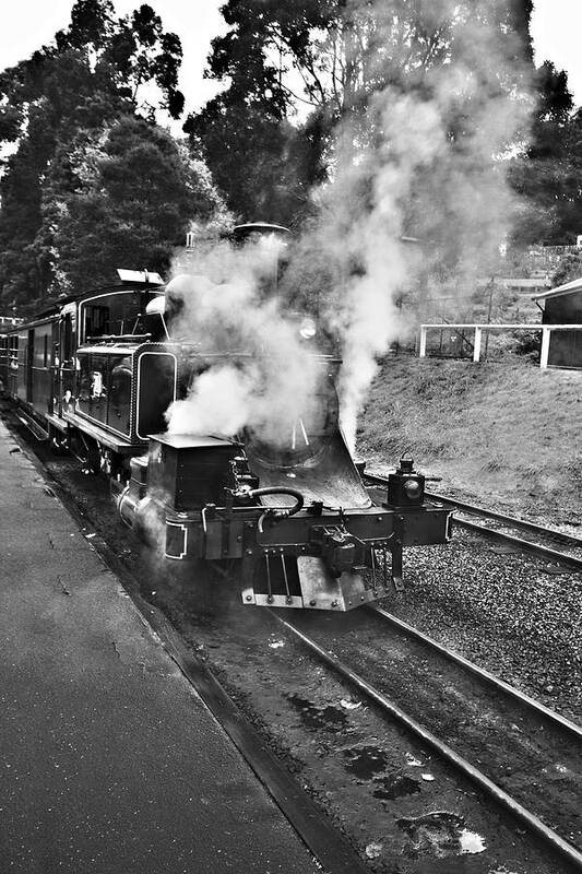 Puffing Billy Art Print featuring the photograph Puffing Billy Black and White by Douglas Barnard
