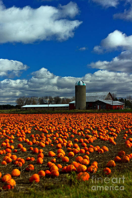 October Art Print featuring the photograph Pumpkin Farm by Randall Cogle