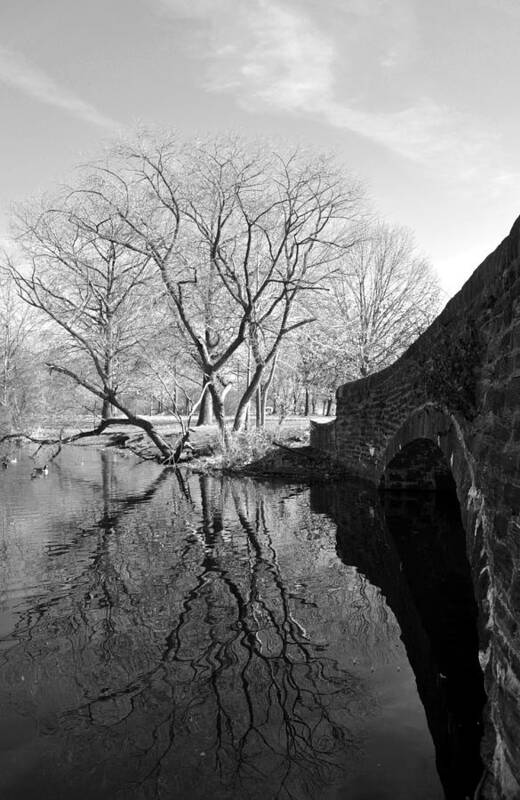 Fdr Park Art Print featuring the photograph Reflections of Natural Beauty by Andrew Dinh