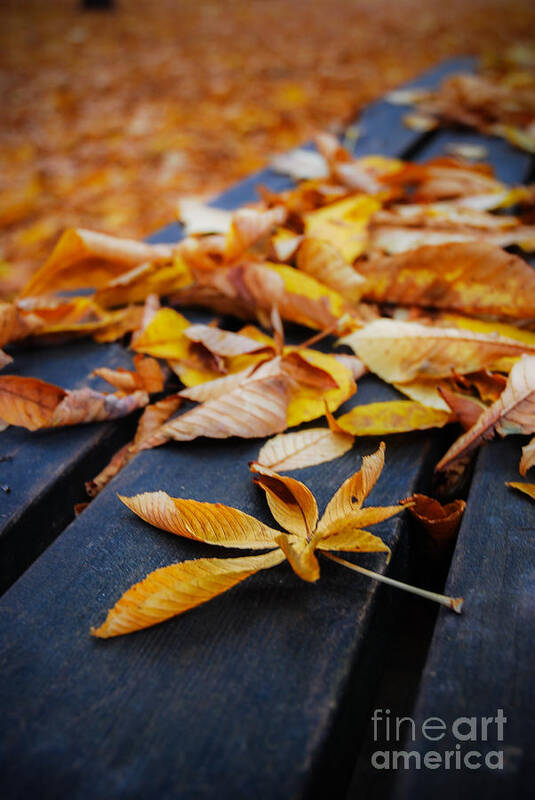 Time Art Print featuring the photograph Resting Autumn by Hannes Cmarits