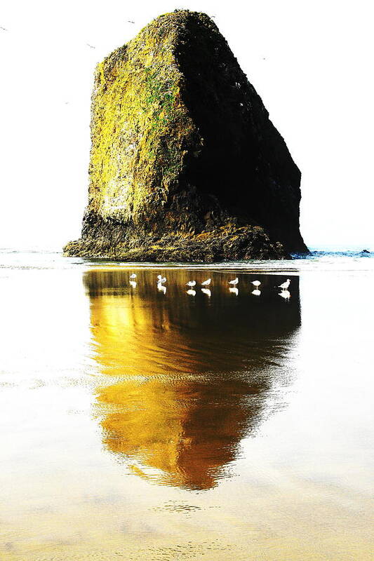Oregon Coast Art Print featuring the photograph Rock at Silver Point Oregon by Steven A Bash