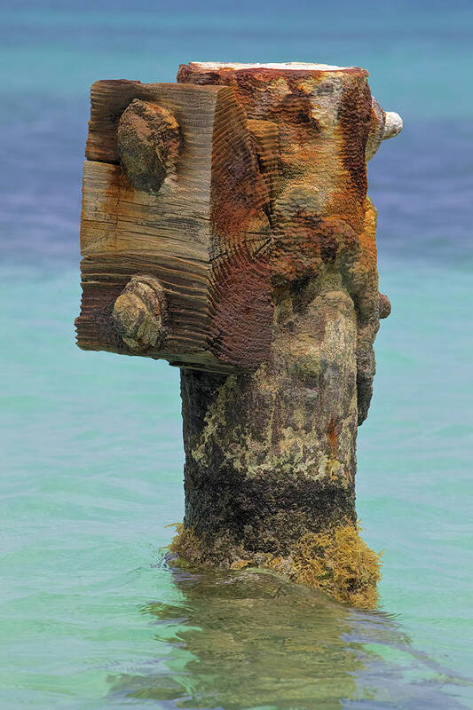 Aruba Art Print featuring the photograph Rusted Dock Pier of the Caribbean IV by David Letts