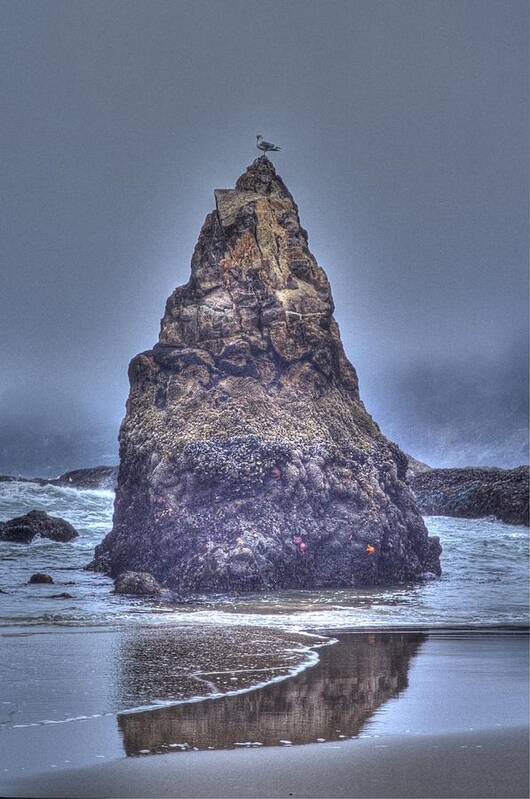 Ocean Art Print featuring the photograph Seagull's Perch by One Rude Dawg Orcutt