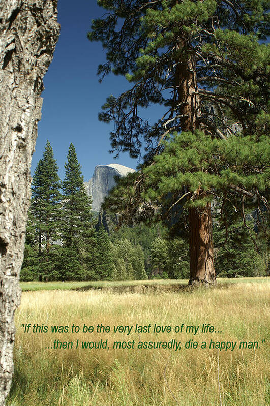 Yosemite Art Print featuring the photograph Sentimental Poster by David Armentrout