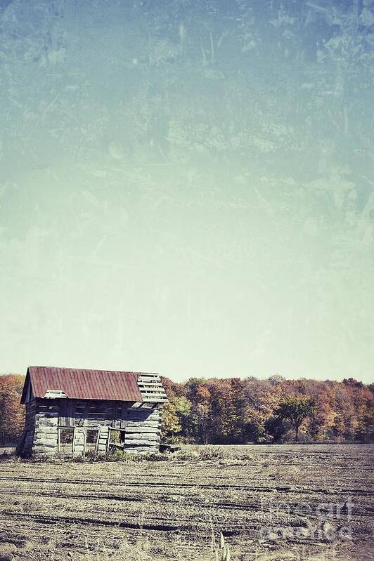 Shack Art Print featuring the photograph Shackn Up by Traci Cottingham