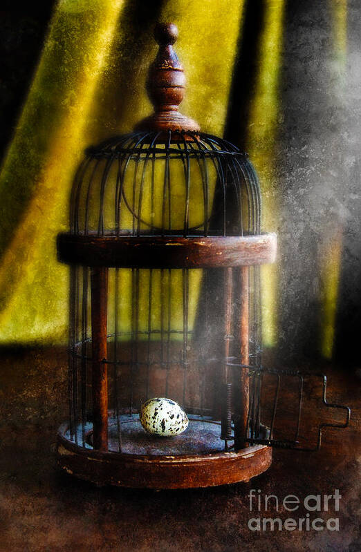 Egg Art Print featuring the photograph Spotted Bird Egg in Wooden Cage by Jill Battaglia