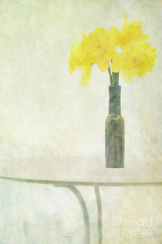 Daffodils Art Print featuring the photograph Springtime by Marion Galt