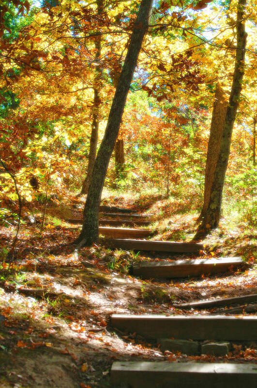 Landscape Nature Photo Trails Photos Art Print featuring the photograph Stairway to Heaven by Peggy Franz
