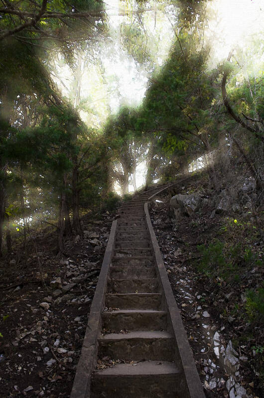 Ascend Art Print featuring the photograph Stairway To Heaven by Ricky Barnard