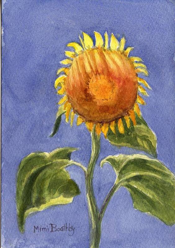 Sunflower Art Print featuring the painting Sunflower glowing in the sun by Mimi Boothby