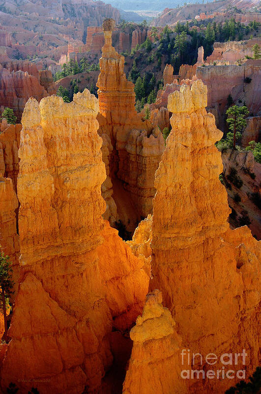 Photography Art Print featuring the photograph Sunrise at Bryce by Vicki Pelham