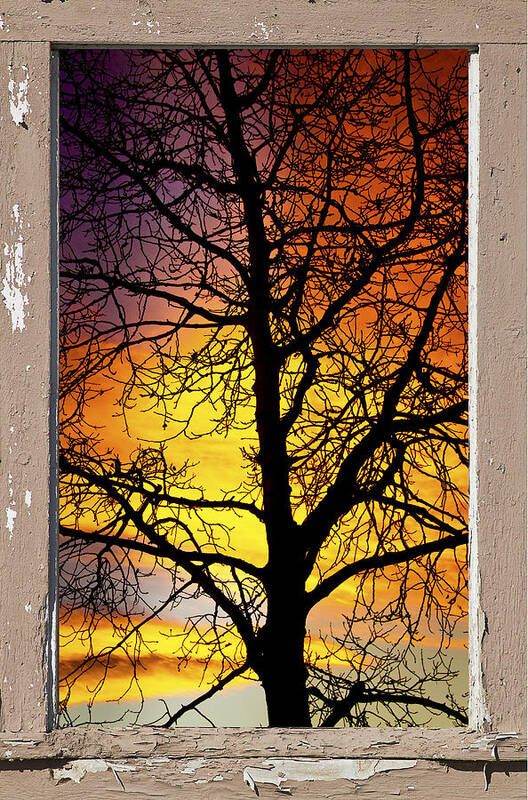 Window Art Print featuring the photograph Sunset Into The Night Window View 4 by James BO Insogna