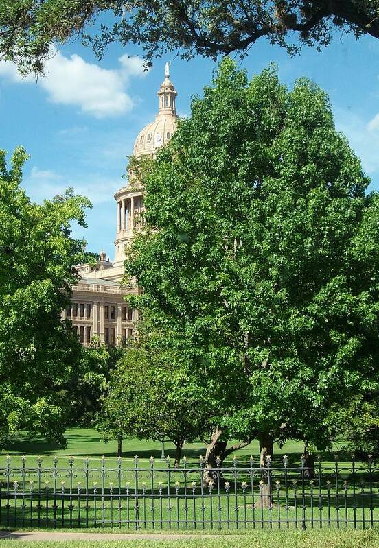 Texas Capitol Building In Austin Art Print featuring the photograph Texas Capitol Building In Austin by Elizabeth Sullivan