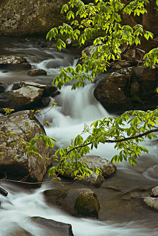 Great Smoky Mountains National Park Art Print featuring the photograph The Sinks by Rick Hartigan