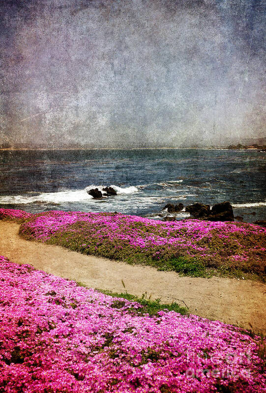 Pacific Grove Art Print featuring the photograph Through the Magic Carpet by Laura Iverson