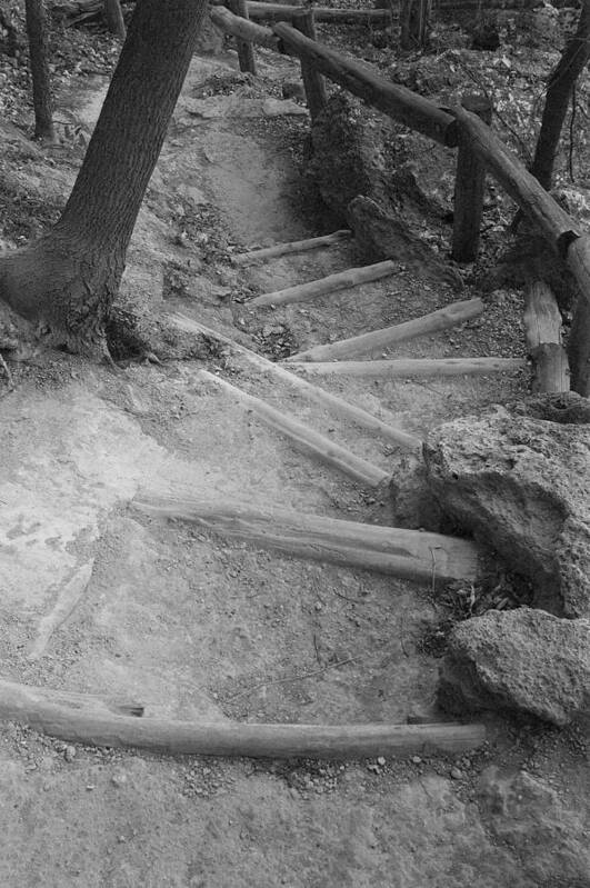 Trail Steps At Hamilton Pool Texas Art Print featuring the photograph Trail Steps by Greg Kopriva