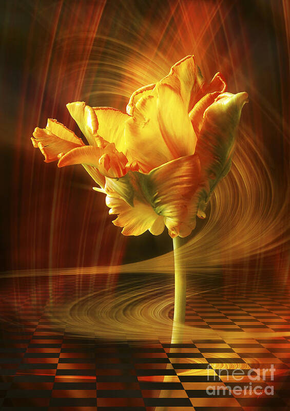 Tulip Art Print featuring the digital art Tulip in movement by Johnny Hildingsson
