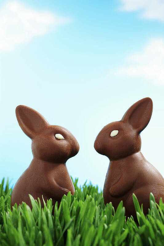Vertical Art Print featuring the photograph Two Chocolate Easter Bunnies Facing Each Other In Grass, Side View by Martin Poole
