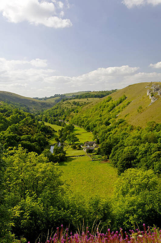 Derbyshire Art Print featuring the photograph Upperdale from Monsal Head by Rod Johnson