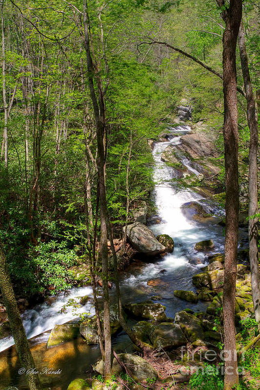 Smoky Mountains Art Print featuring the photograph Waterfall in the Woods by Sue Karski