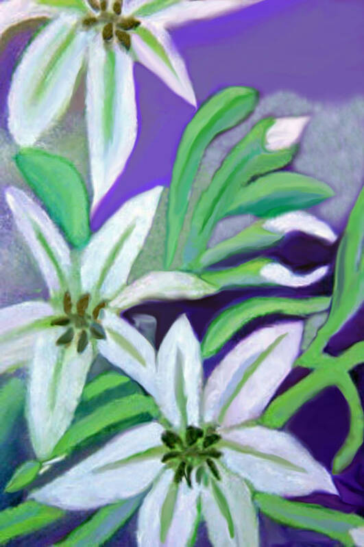 Flower Painting Art Print featuring the painting White Lilies by Margaret Harmon