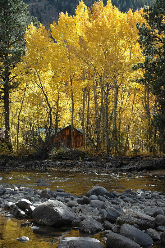 Fall Cabin Art Print featuring the photograph Fall Cabin #1 by Lisa Westrope