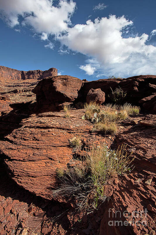 Utah Landscape Art Print featuring the photograph Higher Ground #2 by Jim Garrison