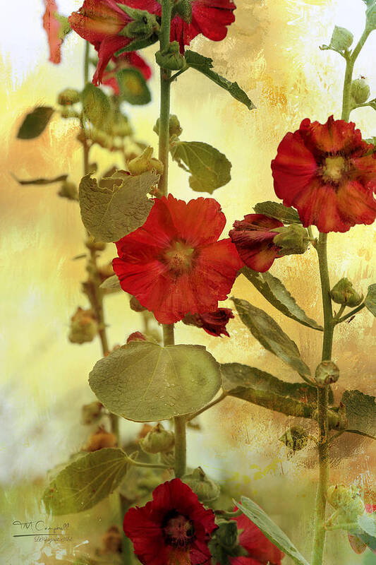 Theresa Campbell Art Print featuring the photograph HollyHocks #2 by Theresa Campbell