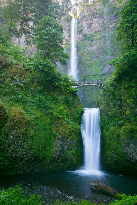 Sam Amato Photography Art Print featuring the photograph Multnomah Falls Oregon #1 by Sam Amato