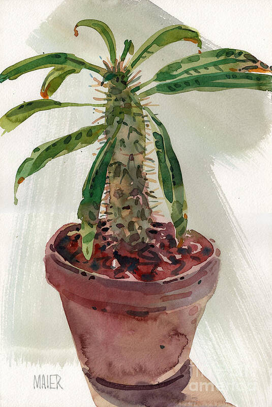 Euphorbia Art Print featuring the painting Pachypodium by Donald Maier