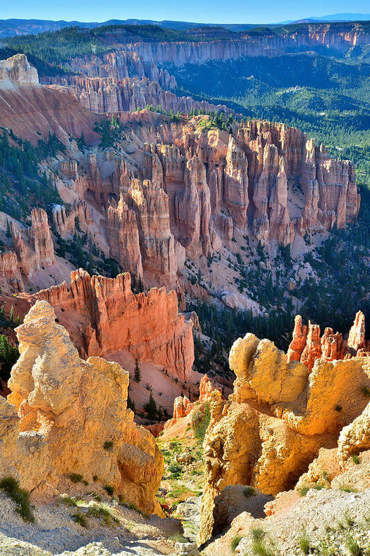 Bryce Canyon National Park Art Print featuring the photograph Rainbow Point #2 by Ray Mathis