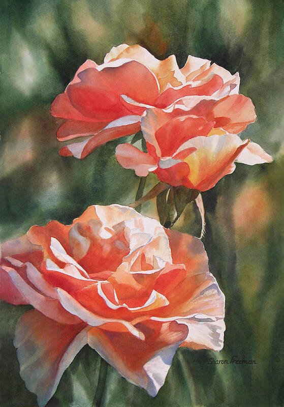 Rose Art Print featuring the painting Salmon Colored Roses #1 by Sharon Freeman