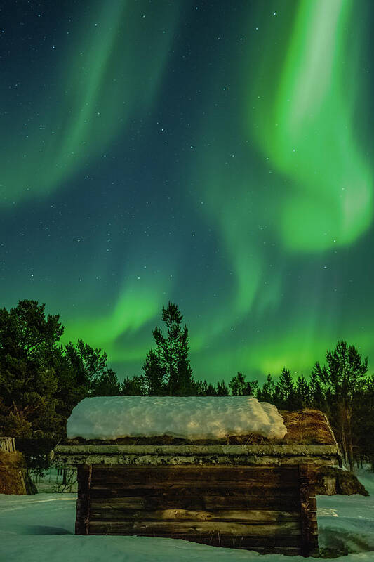 Landscape Art Print featuring the photograph Sapmi Hut Under the Northern Lights Karasjok Norway by Adam Rainoff