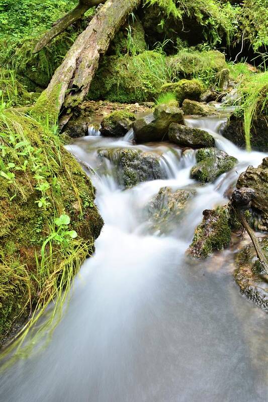 Mossy Art Print featuring the photograph Upstream #1 by Bonfire Photography