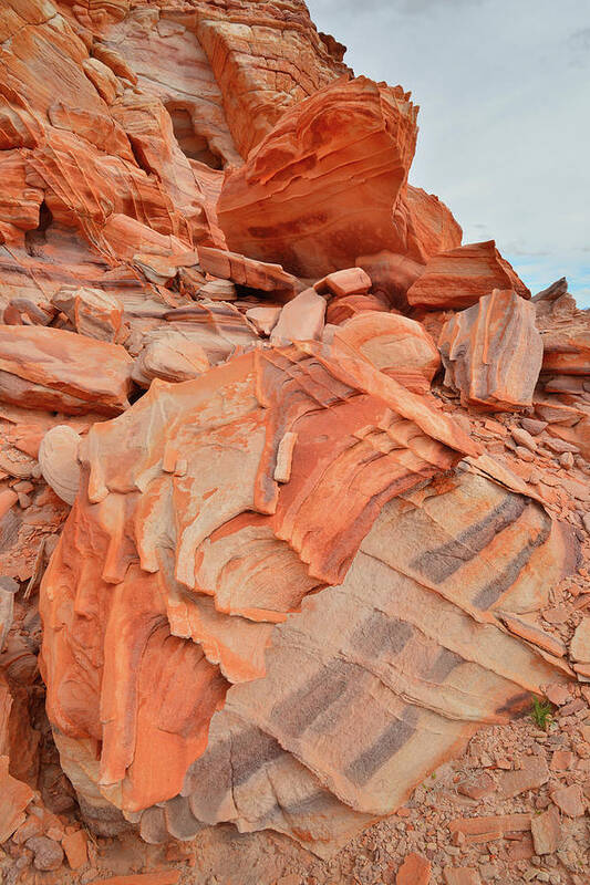 Valley Of Fire State Park Art Print featuring the photograph Waves of Color in Valley of Fire #14 by Ray Mathis