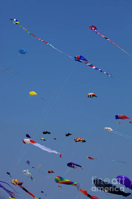 Festival Art Print featuring the photograph Go Fly a Kite #18 by Anthony Totah
