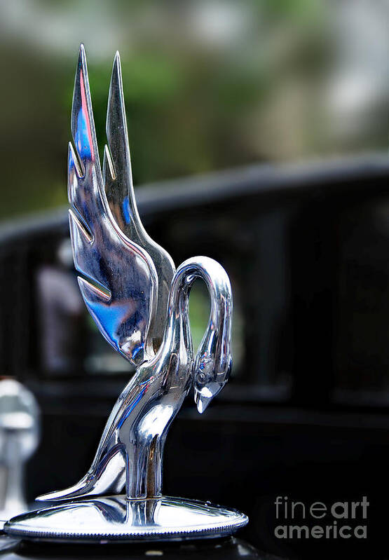 Photography Art Print featuring the photograph 1934 Packard Eight - Hood Ornament by Kaye Menner