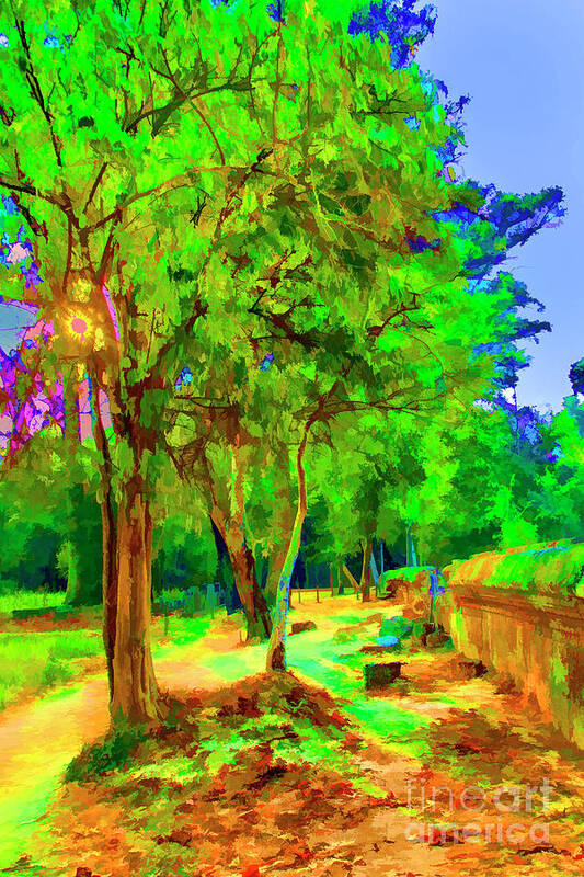 Cambodia Temples Landscapes Art Print featuring the photograph Along the Way #2 by Rick Bragan