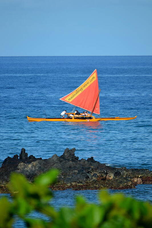  Art Print featuring the photograph Maui HI #2 by Dean Ferreira