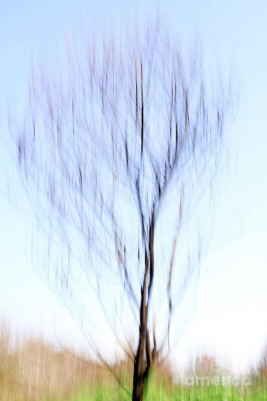 Motion Art Print featuring the photograph Motion blurred trees #2 by Vladi Alon