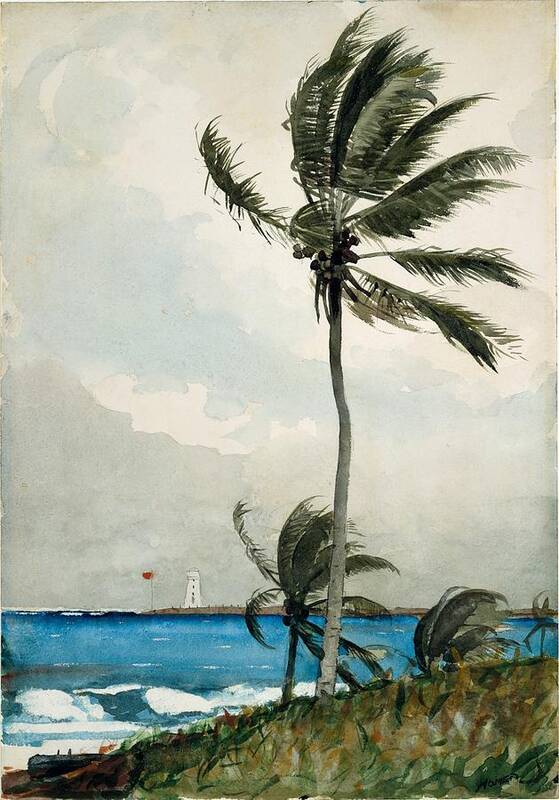 Winslow Homer Art Print featuring the painting Palm Tree Nassau #1 by Winslow Homer