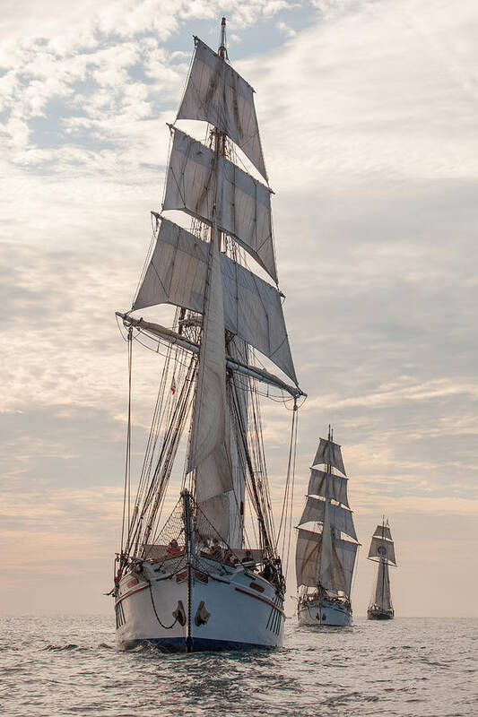 Tall Ship Art Print featuring the photograph Parade of ships by Cliff Wassmann
