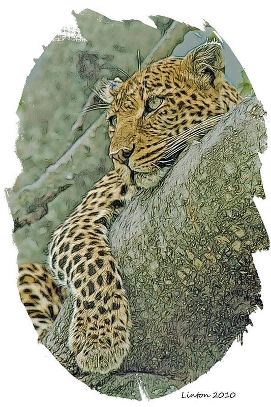 African Leopard Art Print featuring the digital art African Leopard #3 by Larry Linton