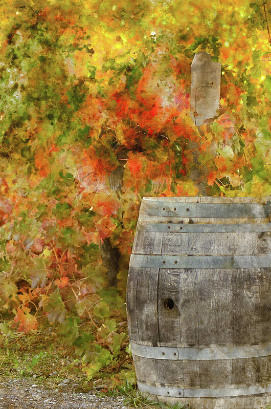 Red Wine Art Print featuring the photograph Wine Barrel in Autumn #5 by Brandon Bourdages