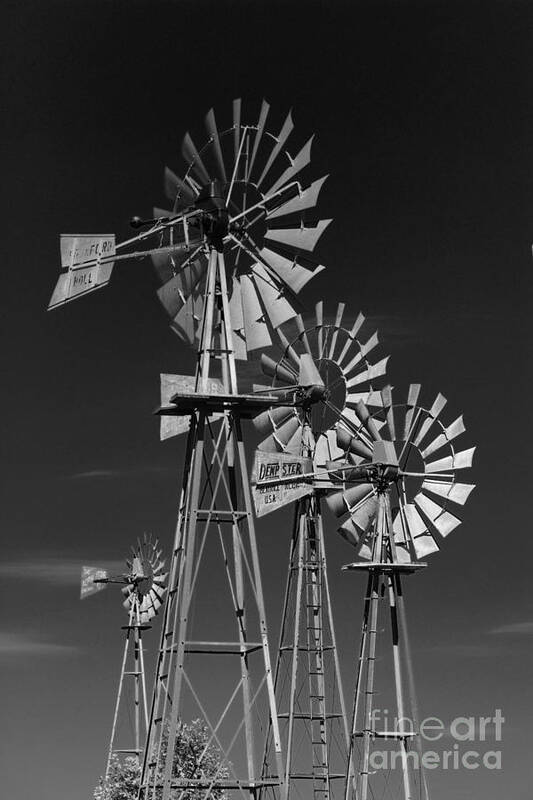 Windmill Iowa Farm Windmills Black White Monochrome Art Print featuring the photograph 4 Windmills by Ken DePue