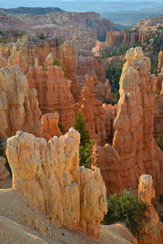 Bryce Canyon National Park Art Print featuring the photograph Fairyland Canyon #47 by Ray Mathis